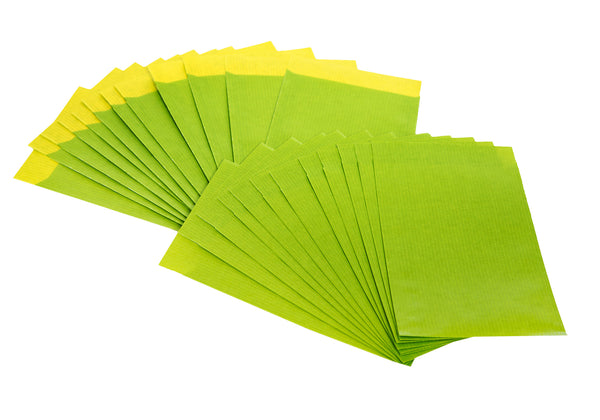 Flachbeutel grün / limone aus Papier (13 x 18 cm) 100 Stück