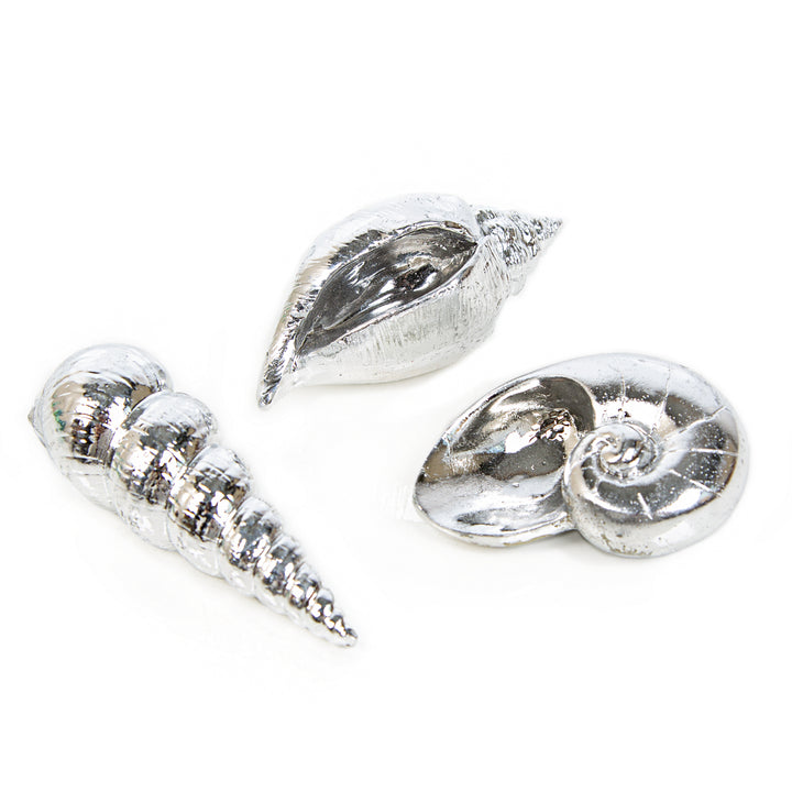 3 silberfarbene Muscheln 10 cm - Maritime Dekoration Badezimmer Wellness - Foto 1