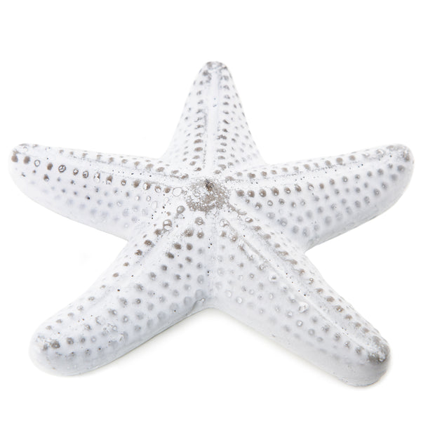 Seestern Dekoobjekt aus Beton grau weiß flach maritime Deko Figur Sommer Meer Stranddeko 17 cm - Foto 1